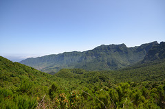 Madeira