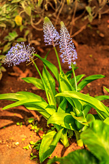 Botanischer Garten Funchal