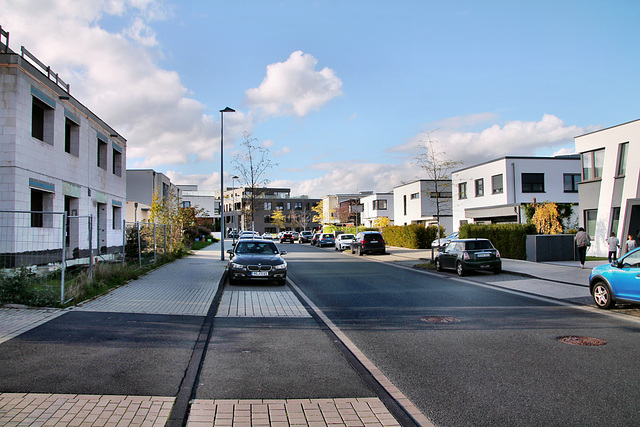 Phoenixseestraße (Dortmund-Hörde) / 21.10.2023