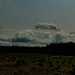 20250609_Wanderung Sorge - Benneckenstein