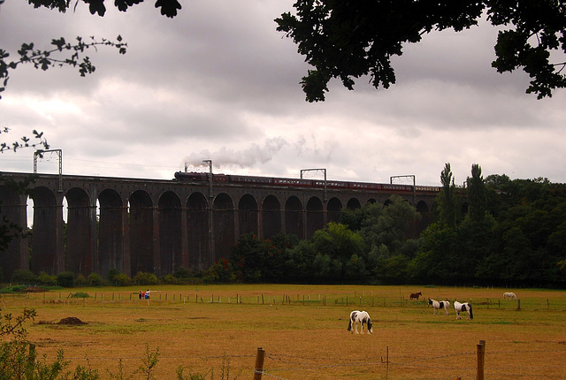 Crossing Welwyn Viaduct