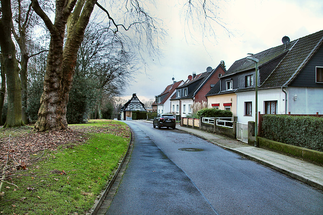 Parkweg (Essen-Leithe) / 16.12.2017