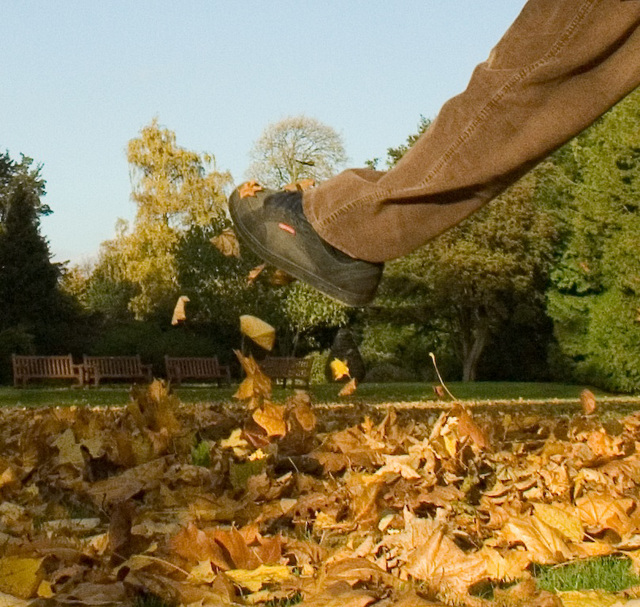 leaf-magnet-foot