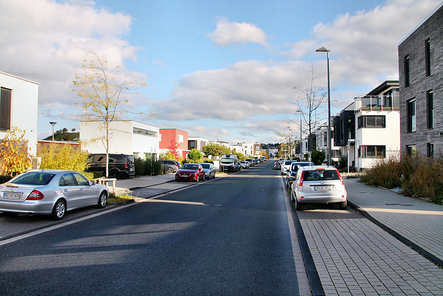 Phoenixseestraße (Dortmund-Hörde) / 21.10.2023