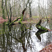 Kampf der Ungeheuer vom Nebeltal / Monster-Fight in Foggy Valley