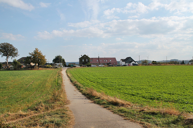 Landschaft am Wasserturm (Essen-Byfang) / 25.09.2016