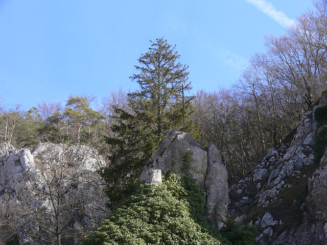 Bayerischer Jura