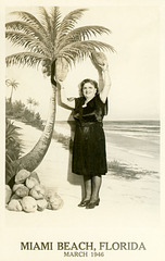 Picking Coconuts, Miami Beach, Florida, March 1946