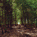 20250609_Wanderung Sorge - Benneckenstein