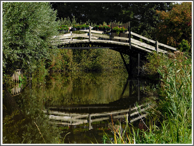 Reflets à la réserve naturelle de Romelaere (62)