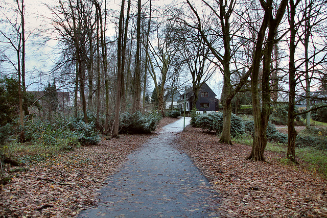 Weg im Park (Essen-Leithe) / 16.12.2017