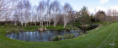 Spring pond level