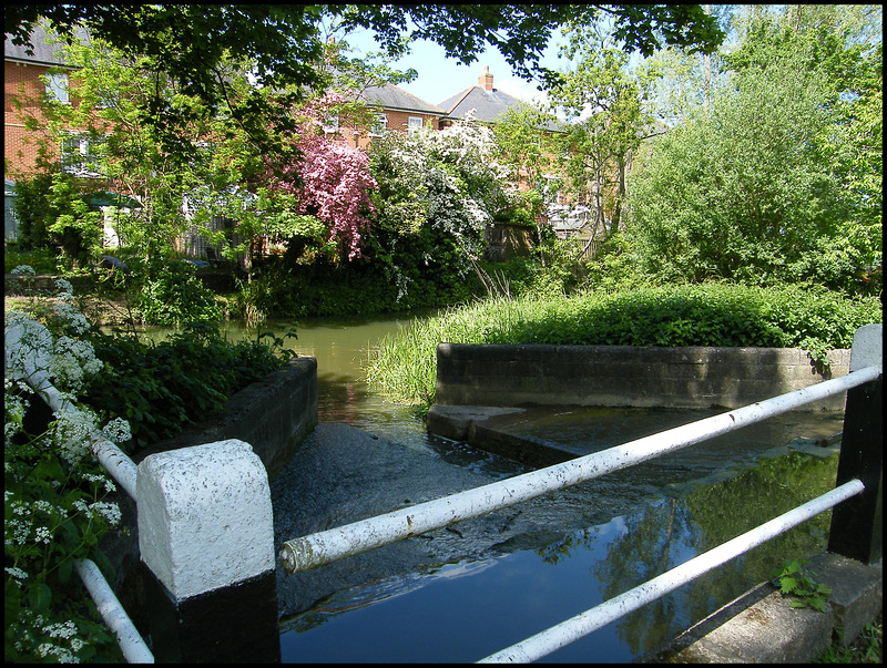 Oxford Canal outflow