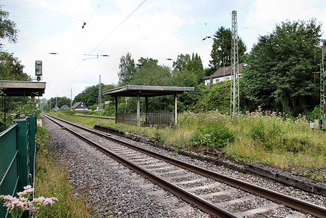 Bahnhof Witten-Höhe, verwilderter Bahnsteig / 26.07.2017