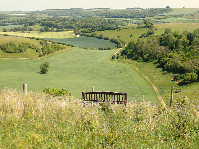 A seat with a view.