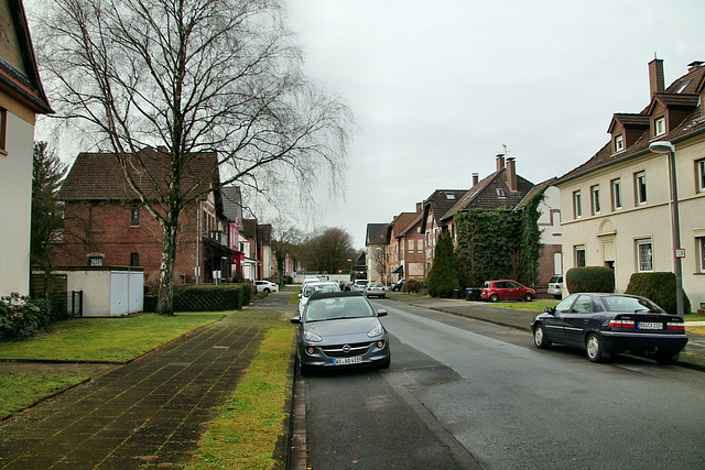 Maslingstraße (Castrop-Rauxel) / 26.12.2019