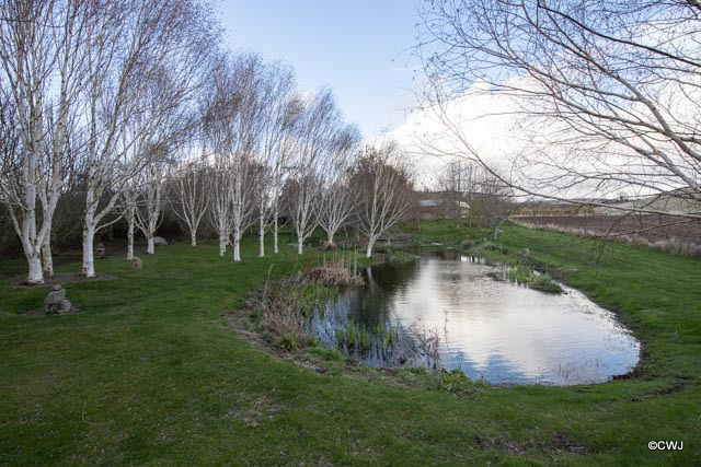 Spring pond level