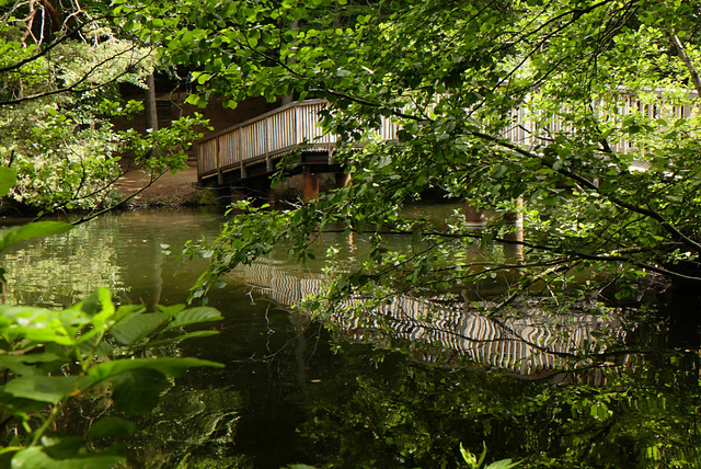 Am Schmalsee bei Mölln