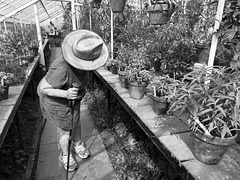 Smith Greenhouse.. Smith Greenhouse..