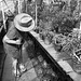Smith Greenhouse.. Smith Greenhouse..