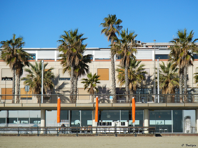 Passeig Marítim de la Barceloneta (© Buelipix)