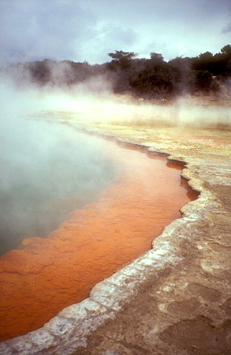 Champagne Pool
