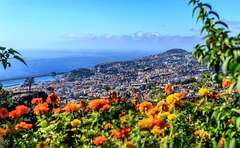 Blick vom Botanischen-Garten auf Funchal