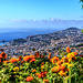 Blick vom Botanischen-Garten auf Funchal