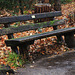 #57 - digipic - Wooden Bench - 57̊ 0points