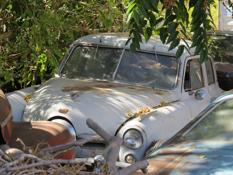 1950 Studebaker Commander