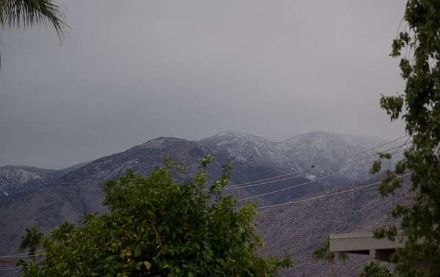 Palm Springs weather (#0236)