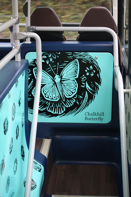 Chalkhill Butterfly