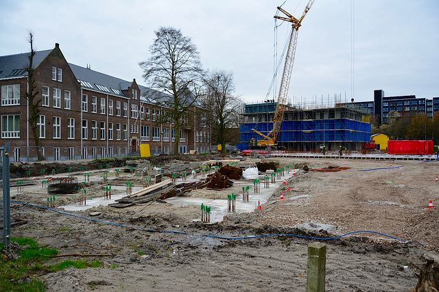 Building project Clusius