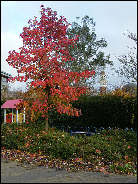 sore thumb in an English autumn