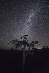 The wind/ the stars/ time /trucks / milky Way is it only me that is standing still