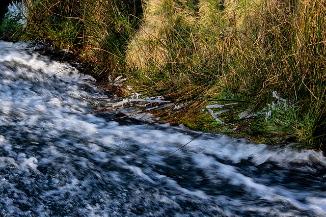 an icy cold upland stream