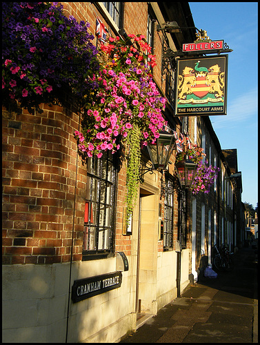 Harcourt blooms