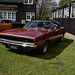 60yofmbapr202024 (1191)