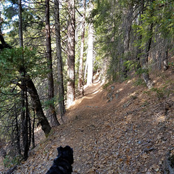 20191124 115131 20191124 115131