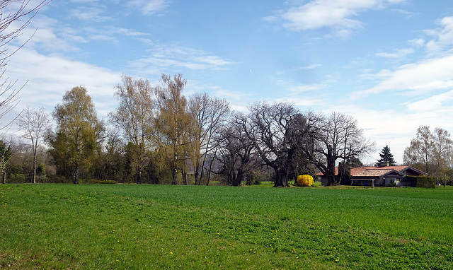 Ein Farbtupfer in der Landschaft