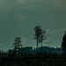 20250609_Wanderung Sorge - Benneckenstein