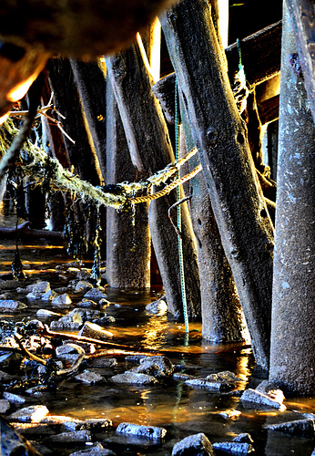 Under the staithes