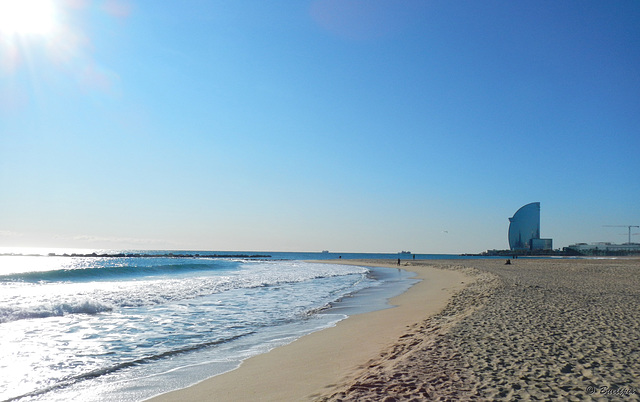 a la platja de Barcelona (© Buelipix)