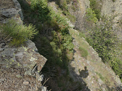 20180910 -15 Randos solo Prévenchères (Lozère-Villefort) (336) al