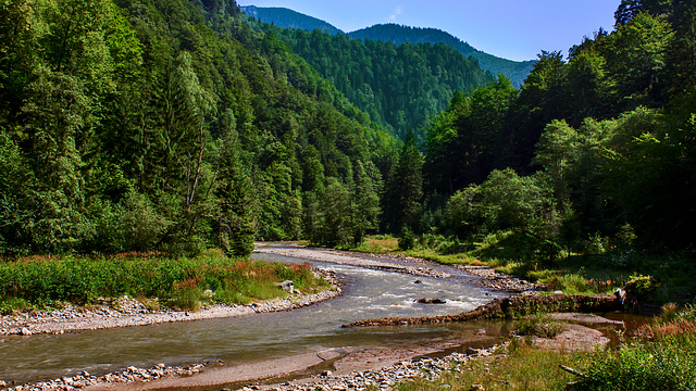 2011/07 - Wassertalbahn Maramures