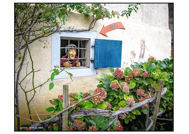 Herbst in Holzen Herbst in Holzen