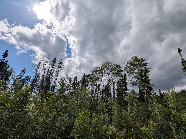Arbres et nuages / Clouds over trees