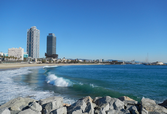 a la platja de Barcelona (© Buelipix)