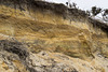 Benacre Cliffs - Westleton Formation