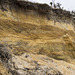 Benacre Cliffs - Westleton Formation